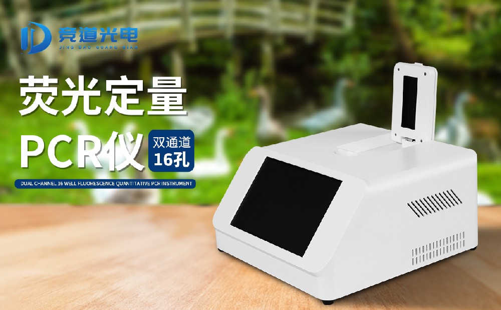 ��������pcr�����