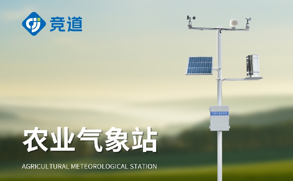 ����������վ���ô�����������