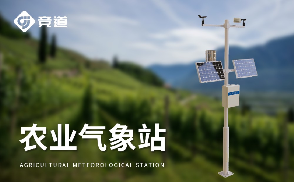 ũҵ����վ����������ģ�������������