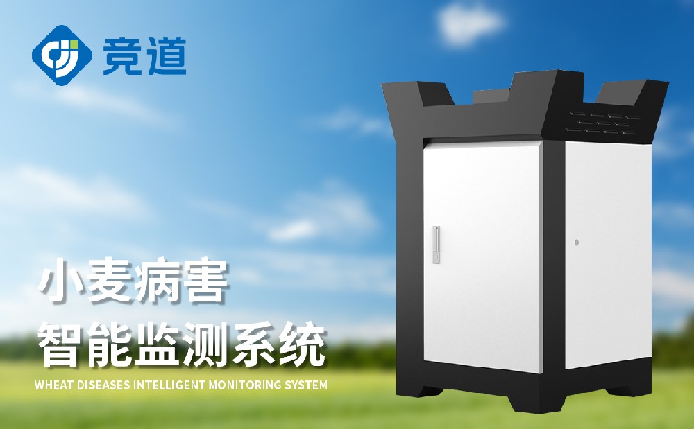 С���ù����Σ�����Լ����β�������