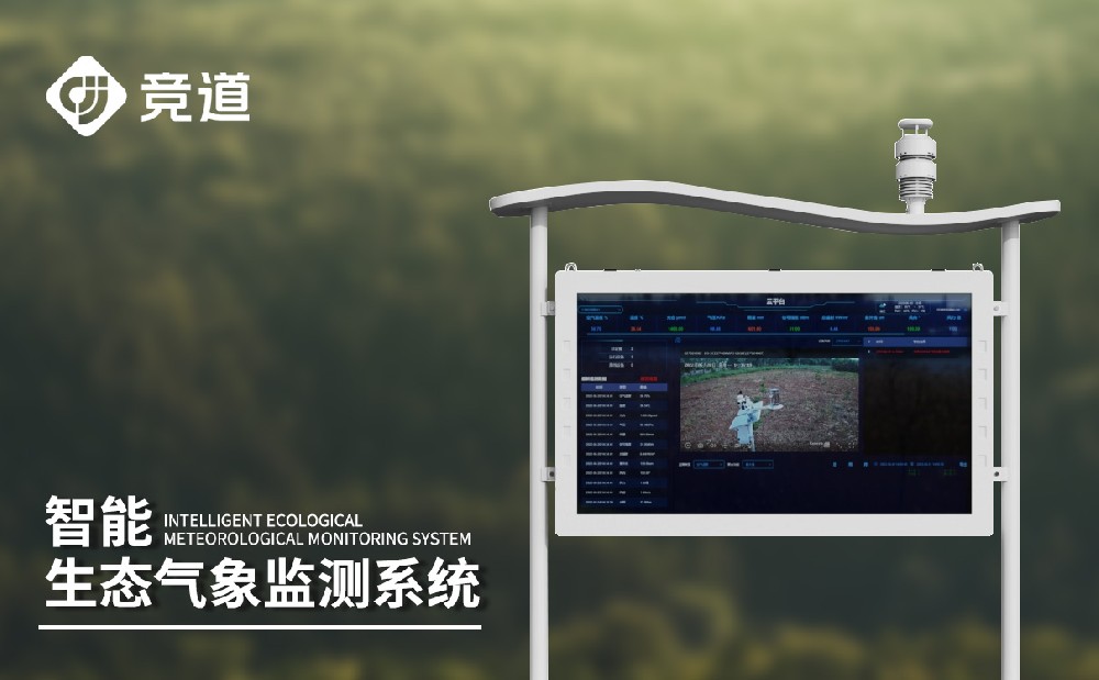 �������Ӽ��վ�����������������������������ֶ�