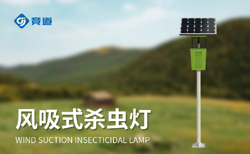 ���۷���ʽɱ��������ξ����е�����