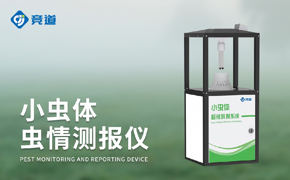 С�������ⱨ��