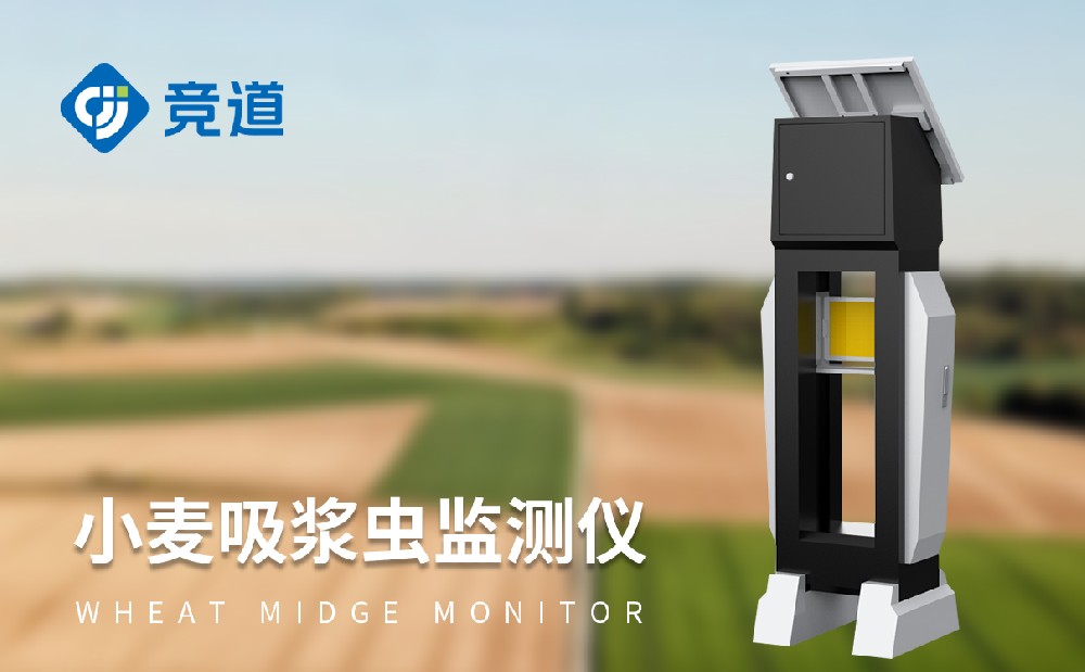 ���Ƿ����֡�com���С���������������������溦��������