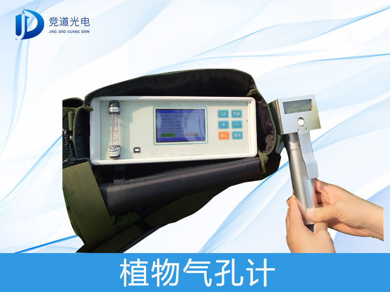 ֲ�����׼���ʲô����������������