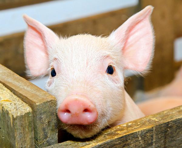 �����������������Щ�ͺ�����������������