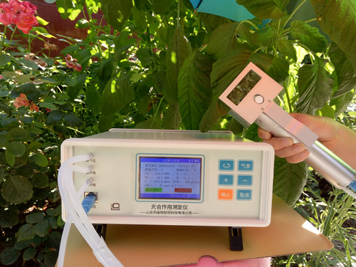 ֲ���������к�Ӧ�ã���������������