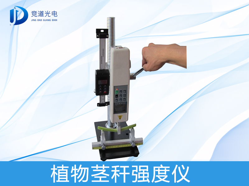 Ϊʲô�о�ֲ�ﾥ��ǿ�ȣ�����������