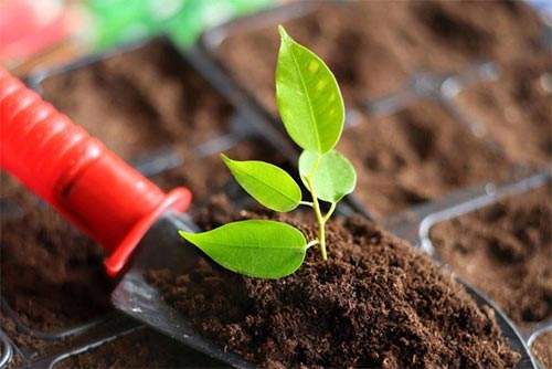 ��Яʽ���������ٲ���