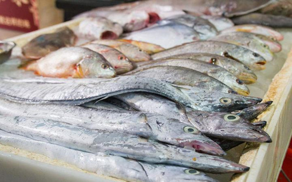 ˮ��Ʒҩ����������