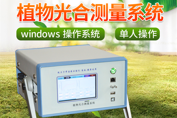 ��Яʽ�������òⶨ��