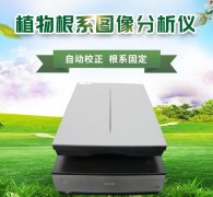 ֲ���ϵ����ϵͳ����ֲ������