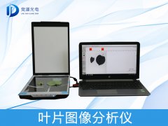 ҶƬͼ����������������������������