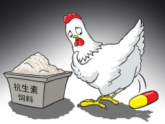 ʳ�￹���ز�������������������������⣿��������